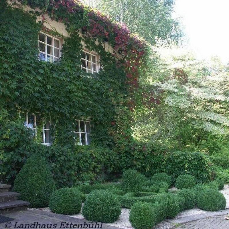 Landhaus Ettenbuehl Bed And Breakfast 바드벨링겐 외부 사진