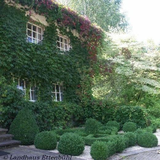 Landhaus Ettenbuehl Bed And Breakfast 바드벨링겐 외부 사진